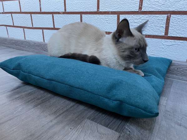 Подушка лежанка Barbaris для кошек Бирюза в Хабаровске фото 3