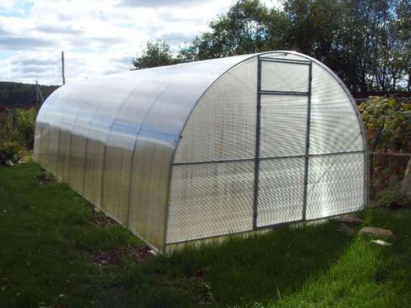 Заводская теплица из поликарбоната в Нее фото 4