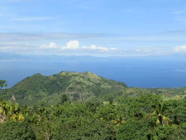 Участок в 1 гектар, Филиппины, остров Самал