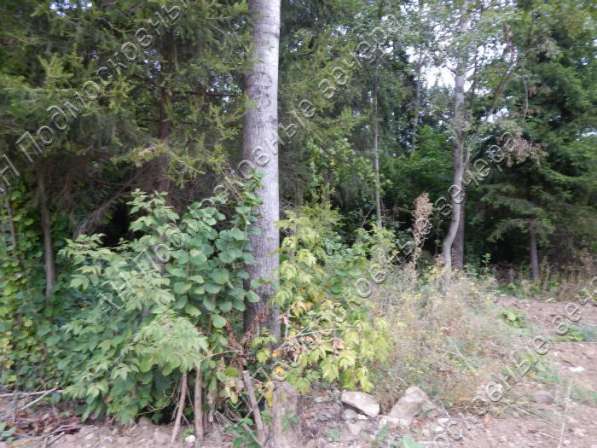 realty_mapper3.plot_in_locationИндивидуальное жилищное ст-во. Есть Электричество, Газ. в Москве фото 6