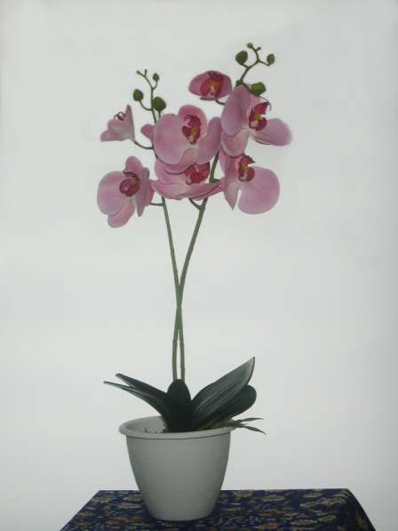 Растения интерьерные искусственные (цветы орхидеи) в Коврове