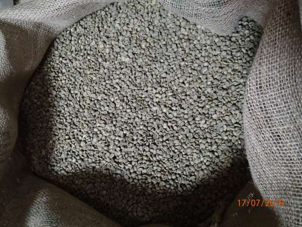 Кофе зеленый в зернах АРАБИКА 100% с доставкой по РФ