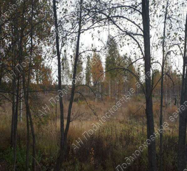 realty_mapper3.plot_in_locationИндивидуальное жилищное ст-во. Площадь 7.00 сот.Есть Электричество. в Москве фото 21