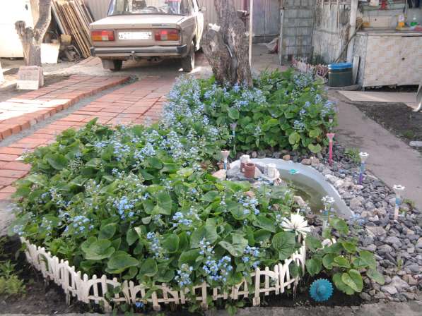 Продам сад в Челябинске фото 3