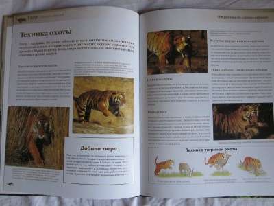 Книги для детей от 7 лет про животных в Томске фото 4