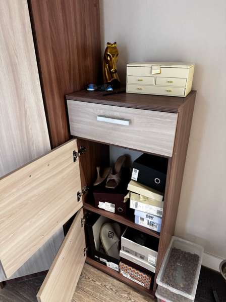 Шкаф в прихожую в Москве фото 4