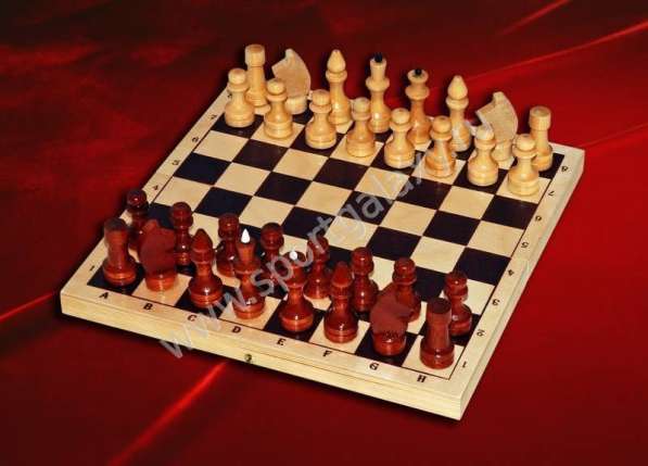 Шахматы лакированные Обиходные 290х145х38 новые с доставкой в Волгограде фото 10