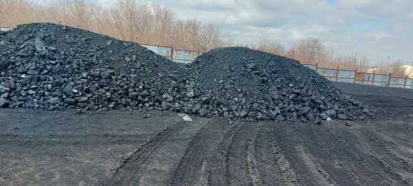 Wholesale coal