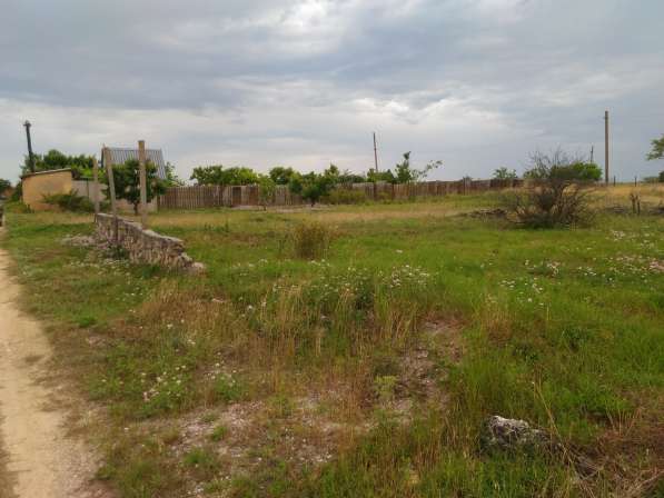 Срочно продается земельный участок СНТ в Саках фото 12