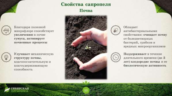 Продаю органическое удобрение (сапропель) в Сочи фото 10