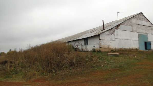 Ферма/ранчо 1600кв. м. на 200голов КРС + 55 соток земли в Уфе фото 11