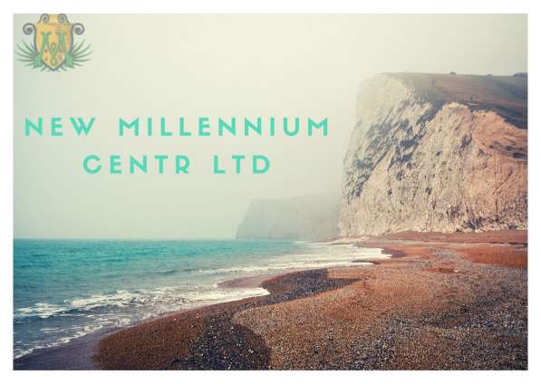 Работа в интернете