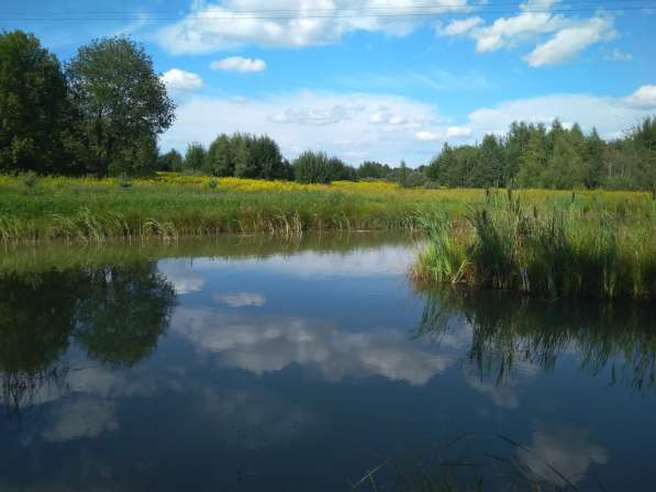 Агроусадьба под Минском на ЧМ в фото 6