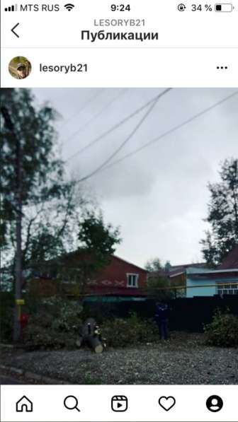 Спил деревьев в Москве фото 5