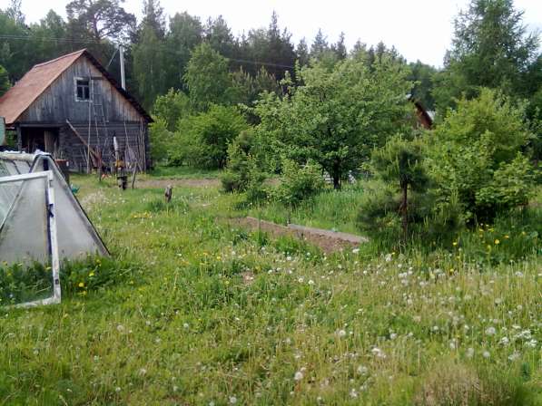 Дача в 40км по Режевскому тракту в Березовский фото 5