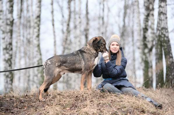 Надёжный Друг Курт ищет семью в Москве фото 50