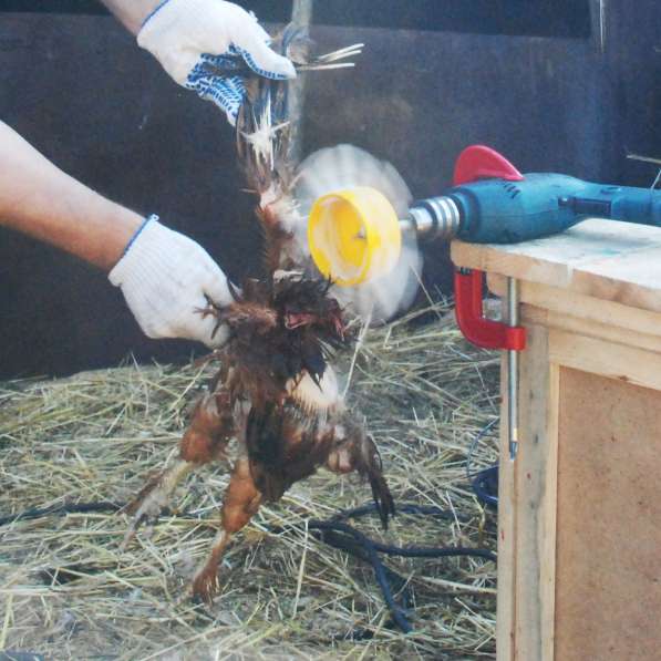 Насадка на дрель перосъёмная Фермер НП 01 для ощипа курицы в Москве фото 4