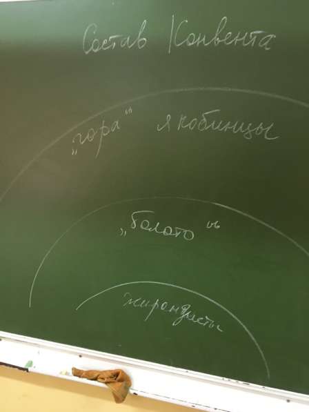 Улитки ахатины в Владивостоке