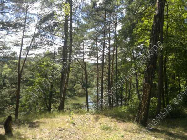 realty_mapper3.plot_in_locationИндивидуальное жилищное ст-во. Есть Электричество, Газ. в Москве фото 4