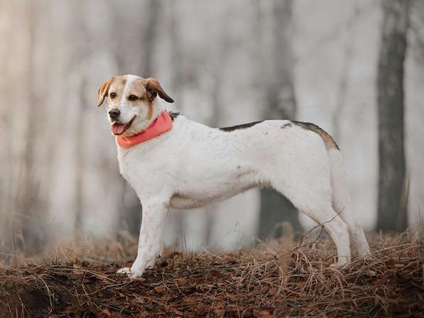 Улыбчивый лучик Фаина ищет семью в Москве фото 26