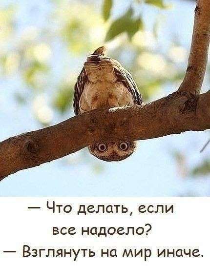 Александр, 51 год, хочет пообщаться
