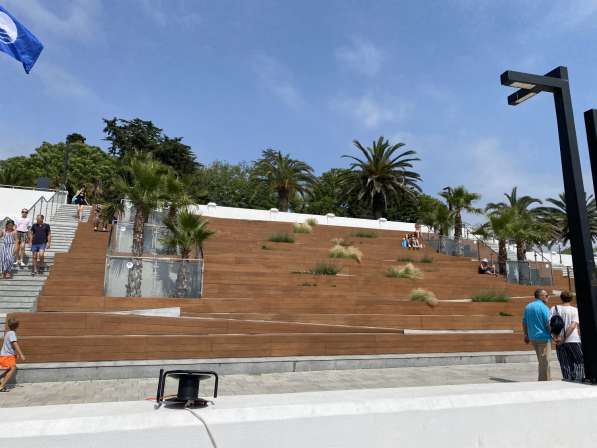 Британские котята в Реутове фото 5