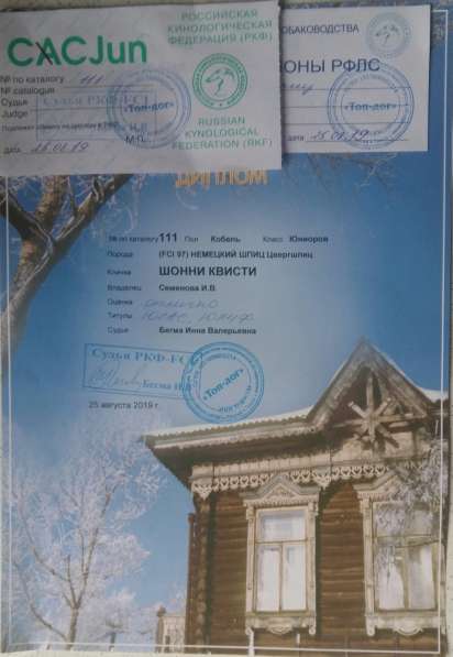 Замечательный мальчик шпиц от чемпионов в Северске