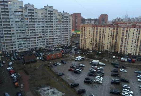 Сдам однокомнатную квартиру в Санкт-Петербурге. Жилая площадь 40 кв.м. Этаж 12.