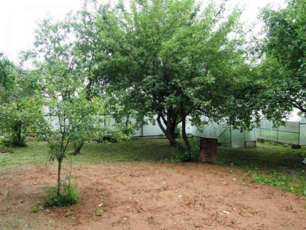 Дача в Ногинске фото 4