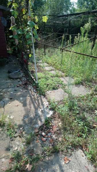 Дом с садом и ухоженным огородом в Белореченске фото 5