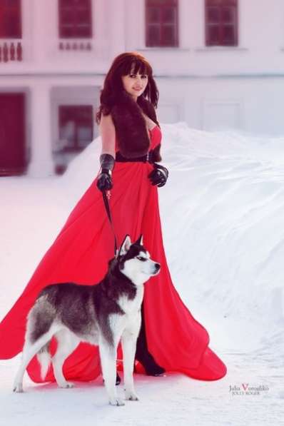 Черно-белые щеночки хаски. очень красивые