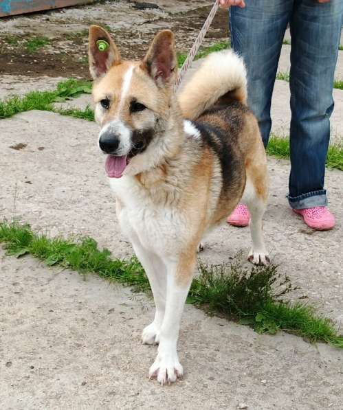 Супер позитивная девчонка Зира ищет своего ЧЕЛОВЕКА в Москве фото 4