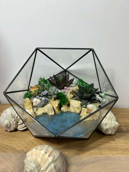Флорариум с суккулентами в Москве фото 3