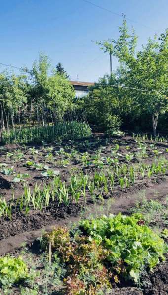 Продам дом в Красноярске