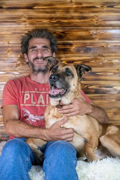 Славный богатырь Норд Батькович ищет дом в Москве