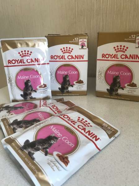 Корм Royal Canin для котят мейн-кун в Москве