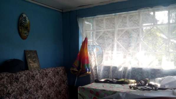 Продается дом с баней и участок в сосновом бору в Пикалево фото 8