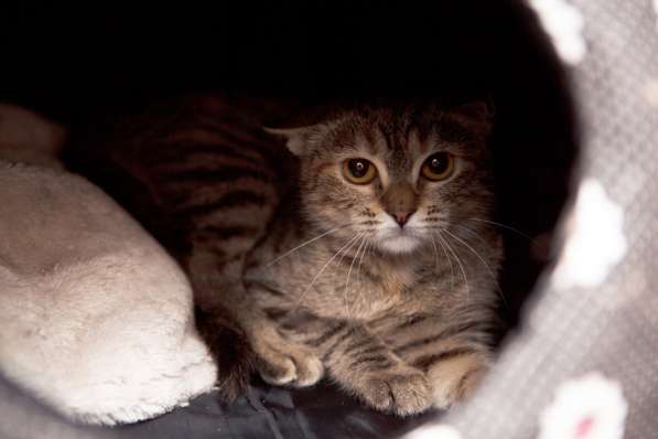 Разборчивая Эрика настроена на блестящее будущее в Москве