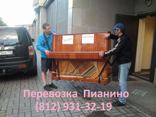 Перевозка мебели Санкт-Петербург в Санкт-Петербурге фото 3