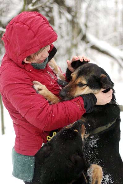 Собака, которая любит обниматься в Санкт-Петербурге фото 13