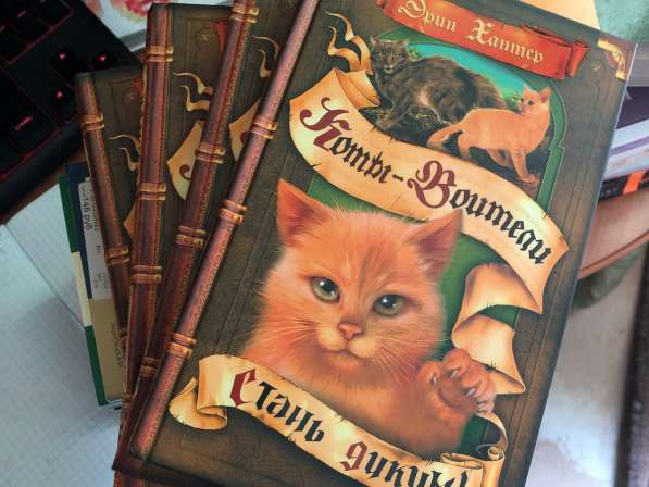 Книги «Коты-воители» в Владимире