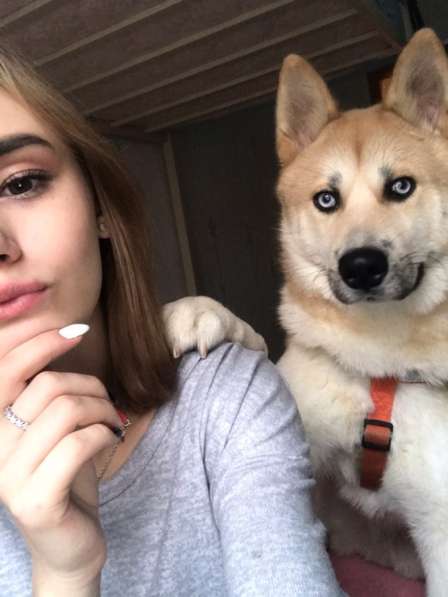 Собака в добрые руки в Москве