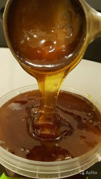Мёд алтайский дягилевый с таёжным разнотравьем