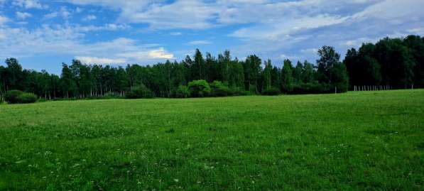 Продается земельный участок сельхозназначения в Богдановиче фото 4