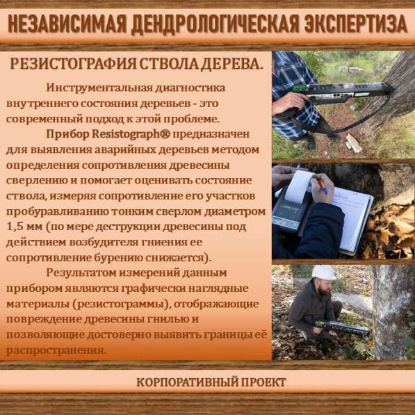 СИСТЕМА УПРАВЛЕНИЯ ФИТОСАНИТАРНЫМ СОСТОЯНИЕМ ЭКОСИСТЕМ в Сочи фото 19