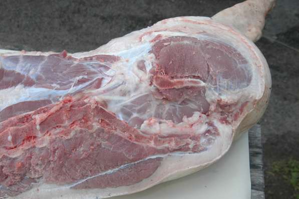 Мясо свинины в Кирове