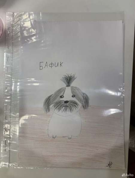 Рисунки ваших питомцев на заказ в Апатиты