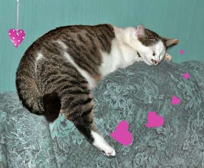 домашний клоун Яха в Санкт-Петербурге фото 4