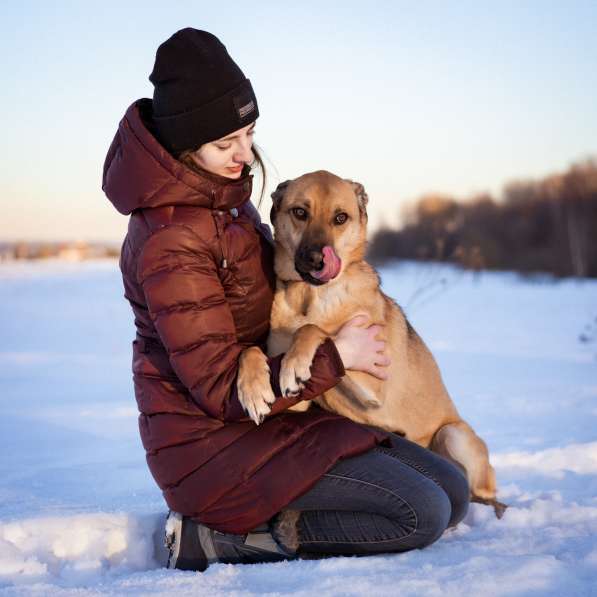 Собака в добрые руки бесплатно в Москве