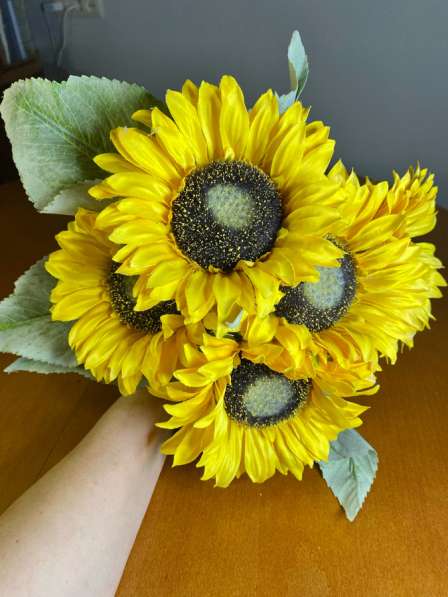 Подсолнух 5 штук